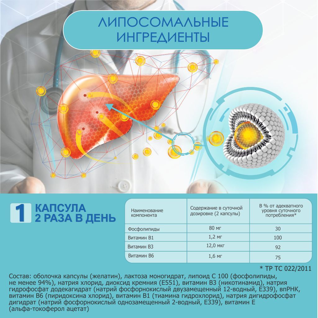 Гепатолипинт Лайт, 202 мг, капсулы, 60 шт.